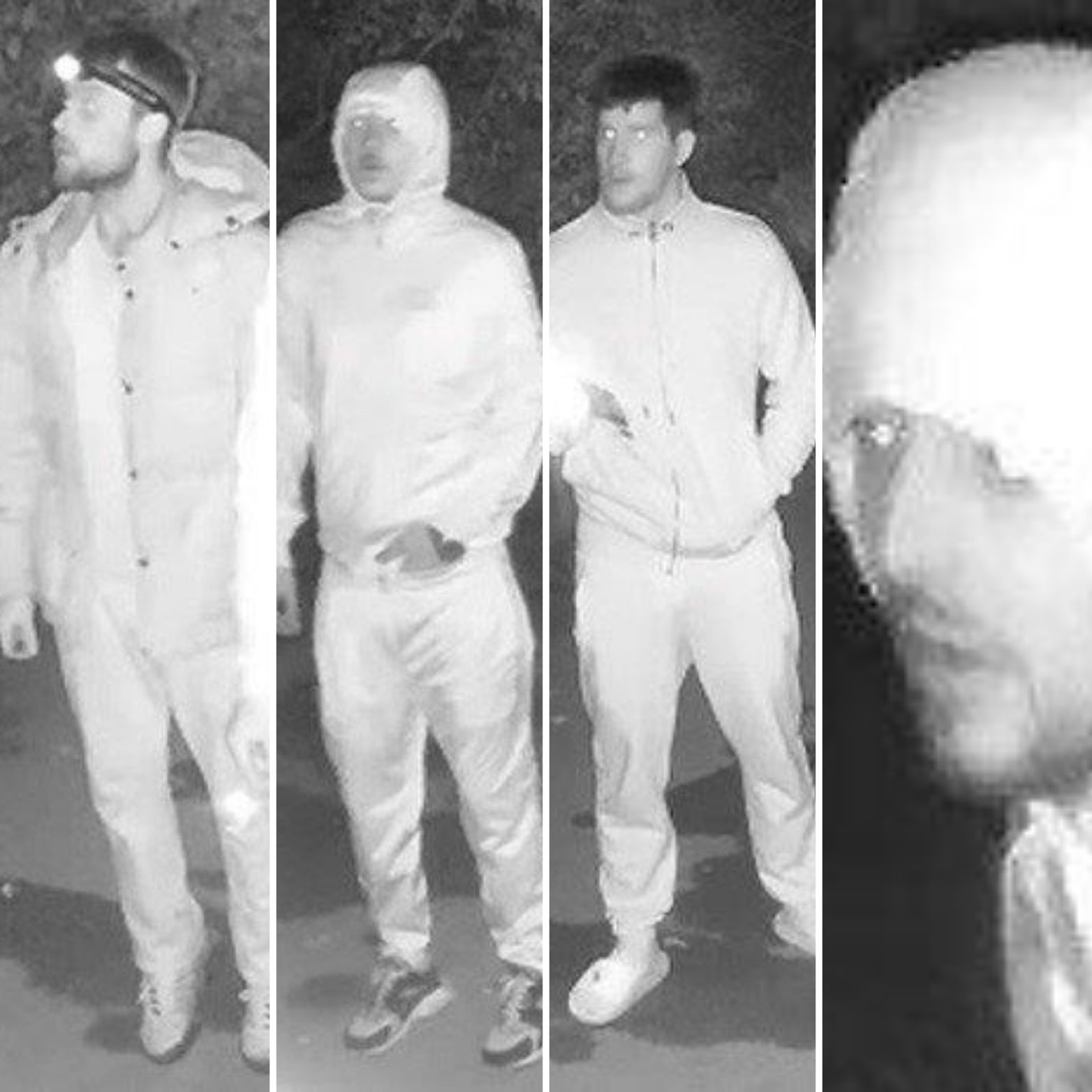 CCTV images released after plant machinery theft in Wareham